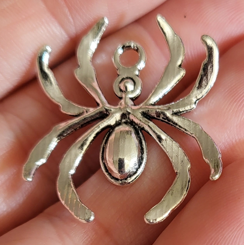 ✨️Add to any bundle FREE ✨️ Spider 🕷 Charms